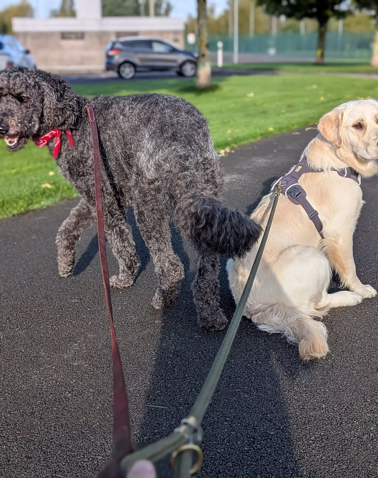 Everyday walk