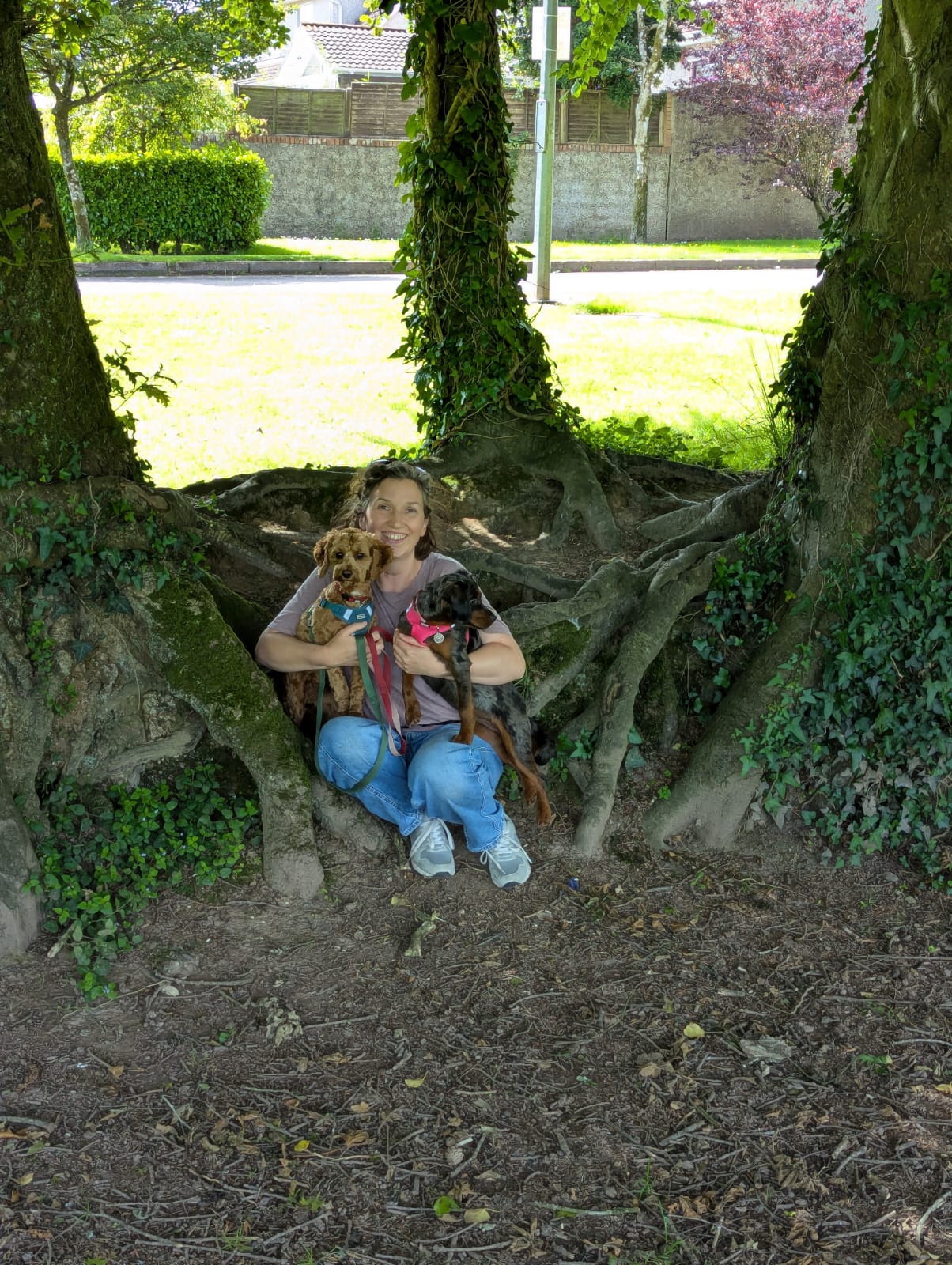 Impi sitting with two dogs under a tree